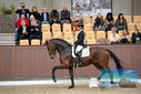 Filename=PT9_8312.JPG
Filesize=399KiB
Dimensions=1224x817
Date added=Oct 18, 2022 PT9_8312.JPG