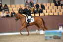 Filename=PT9_8313.JPG
Filesize=391KiB
Dimensions=1224x817
Date added=Oct 18, 2022 PT9_8313.JPG