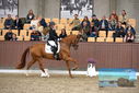 Filename=PT9_8318.JPG
Filesize=432KiB
Dimensions=1224x817
Date added=Oct 18, 2022 PT9_8318.JPG