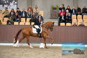 Filename=PT9_8319.JPG
Filesize=423KiB
Dimensions=1224x817
Date added=Oct 18, 2022 PT9_8319.JPG