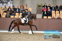Filename=PT9_8321.JPG
Filesize=422KiB
Dimensions=1224x817
Date added=Oct 18, 2022 PT9_8321.JPG