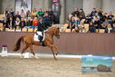 Filename=PT9_8323.JPG
Filesize=416KiB
Dimensions=1224x817
Date added=Oct 18, 2022 PT9_8323.JPG