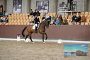 Filename=PT9_8335.JPG
Filesize=431KiB
Dimensions=1224x817
Date added=Oct 18, 2022 PT9_8335.JPG