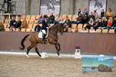 Filename=PT9_8336.JPG
Filesize=432KiB
Dimensions=1224x817
Date added=Oct 18, 2022 PT9_8336.JPG