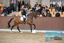 Filename=PT9_8337.JPG
Filesize=436KiB
Dimensions=1224x817
Date added=Oct 18, 2022 PT9_8337.JPG