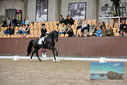 Filename=PT9_8338.JPG
Filesize=434KiB
Dimensions=1224x817
Date added=Oct 18, 2022 PT9_8338.JPG
