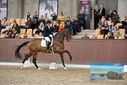 Filename=PT9_8341.JPG
Filesize=418KiB
Dimensions=1224x817
Date added=Oct 18, 2022 PT9_8341.JPG