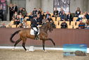 Filename=PT9_8342.JPG
Filesize=417KiB
Dimensions=1224x817
Date added=Oct 18, 2022 PT9_8342.JPG