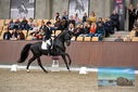 Filename=PT9_8343.JPG
Filesize=436KiB
Dimensions=1224x817
Date added=Oct 18, 2022 PT9_8343.JPG