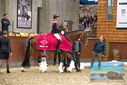 Filename=PT9_8347.JPG
Filesize=447KiB
Dimensions=1224x817
Date added=Oct 18, 2022 PT9_8347.JPG