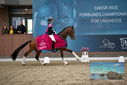 Filename=PT9_8366.JPG
Filesize=385KiB
Dimensions=1224x817
Date added=Oct 18, 2022 PT9_8366.JPG