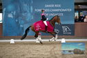 Filename=PT9_8368.JPG
Filesize=373KiB
Dimensions=1224x817
Date added=Oct 18, 2022 PT9_8368.JPG