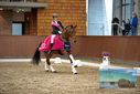 Filename=PT9_8369.JPG
Filesize=381KiB
Dimensions=1224x817
Date added=Oct 18, 2022 PT9_8369.JPG