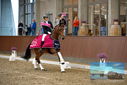 Filename=PT9_8371.JPG
Filesize=402KiB
Dimensions=1224x817
Date added=Oct 18, 2022 PT9_8371.JPG