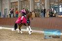 Filename=PT9_8372.JPG
Filesize=409KiB
Dimensions=1224x817
Date added=Oct 18, 2022 PT9_8372.JPG