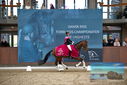Filename=PT9_8375.JPG
Filesize=385KiB
Dimensions=1224x817
Date added=Oct 18, 2022 PT9_8375.JPG