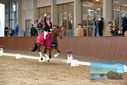 Filename=PT9_8379.JPG
Filesize=395KiB
Dimensions=1224x817
Date added=Oct 18, 2022 PT9_8379.JPG