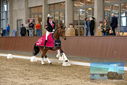 Filename=PT9_8380.JPG
Filesize=438KiB
Dimensions=1224x817
Date added=Oct 18, 2022 PT9_8380.JPG