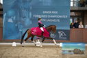 Filename=PT9_8382.JPG
Filesize=380KiB
Dimensions=1224x817
Date added=Oct 18, 2022 PT9_8382.JPG