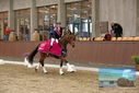 Filename=PT9_8384.JPG
Filesize=418KiB
Dimensions=1224x817
Date added=Oct 18, 2022 PT9_8384.JPG