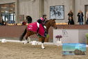 Filename=PT9_8385.JPG
Filesize=411KiB
Dimensions=1224x817
Date added=Oct 18, 2022 PT9_8385.JPG