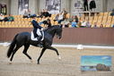 Filename=PT9_8387.JPG
Filesize=409KiB
Dimensions=1224x817
Date added=Oct 18, 2022 PT9_8387.JPG