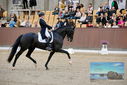 Filename=PT9_8389.JPG
Filesize=452KiB
Dimensions=1224x817
Date added=Oct 18, 2022 PT9_8389.JPG