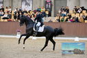 Filename=PT9_8391.JPG
Filesize=438KiB
Dimensions=1224x817
Date added=Oct 18, 2022 PT9_8391.JPG