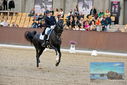 Filename=PT9_8392.JPG
Filesize=471KiB
Dimensions=1224x817
Date added=Oct 18, 2022 PT9_8392.JPG