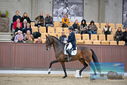 Filename=PT9_8394.JPG
Filesize=418KiB
Dimensions=1224x817
Date added=Oct 18, 2022 PT9_8394.JPG