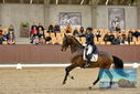 Filename=PT9_8397.JPG
Filesize=426KiB
Dimensions=1224x817
Date added=Oct 18, 2022 PT9_8397.JPG