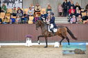 Filename=PT9_8403.JPG
Filesize=436KiB
Dimensions=1224x817
Date added=Oct 18, 2022 PT9_8403.JPG