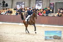 Filename=PT9_8407.JPG
Filesize=449KiB
Dimensions=1224x817
Date added=Oct 18, 2022 PT9_8407.JPG