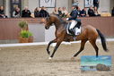 Filename=PT9_8413.JPG
Filesize=404KiB
Dimensions=1224x817
Date added=Oct 18, 2022 PT9_8413.JPG