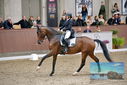 Filename=PT9_8414.JPG
Filesize=416KiB
Dimensions=1224x817
Date added=Oct 18, 2022 PT9_8414.JPG