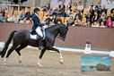 Filename=PT9_8419.JPG
Filesize=417KiB
Dimensions=1224x817
Date added=Oct 18, 2022 PT9_8419.JPG