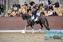 Filename=PT9_8424.JPG
Filesize=424KiB
Dimensions=1224x817
Date added=Oct 18, 2022 PT9_8424.JPG