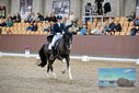 Filename=PT9_8425.JPG
Filesize=424KiB
Dimensions=1224x817
Date added=Oct 18, 2022 PT9_8425.JPG
