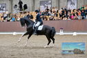 Filename=PT9_8426.JPG
Filesize=433KiB
Dimensions=1224x817
Date added=Oct 18, 2022 PT9_8426.JPG