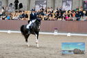 Filename=PT9_8427.JPG
Filesize=478KiB
Dimensions=1224x817
Date added=Oct 18, 2022 PT9_8427.JPG