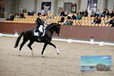 Filename=PT9_8430.JPG
Filesize=436KiB
Dimensions=1224x817
Date added=Oct 18, 2022 PT9_8430.JPG