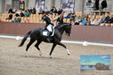 Filename=PT9_8431.JPG
Filesize=478KiB
Dimensions=1224x817
Date added=Oct 18, 2022 PT9_8431.JPG