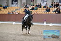 Filename=PT9_8434.JPG
Filesize=419KiB
Dimensions=1224x817
Date added=Oct 18, 2022 PT9_8434.JPG