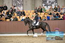 Filename=PT9_8437.JPG
Filesize=435KiB
Dimensions=1224x817
Date added=Oct 18, 2022 PT9_8437.JPG