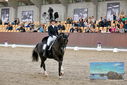 Filename=PT9_8438.JPG
Filesize=483KiB
Dimensions=1224x817
Date added=Oct 18, 2022 PT9_8438.JPG