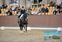 Filename=PT9_8441.JPG
Filesize=434KiB
Dimensions=1224x817
Date added=Oct 18, 2022 PT9_8441.JPG