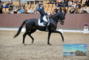 Filename=PT9_8448.JPG
Filesize=448KiB
Dimensions=1224x817
Date added=Oct 18, 2022 PT9_8448.JPG