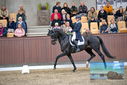Filename=PT9_8450.JPG
Filesize=421KiB
Dimensions=1224x817
Date added=Oct 18, 2022 PT9_8450.JPG