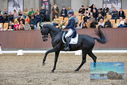 Filename=PT9_8453.JPG
Filesize=415KiB
Dimensions=1224x817
Date added=Oct 18, 2022 PT9_8453.JPG
