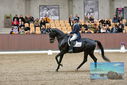 Filename=PT9_8454.JPG
Filesize=444KiB
Dimensions=1224x817
Date added=Oct 18, 2022 PT9_8454.JPG